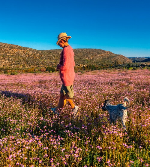 Daria In The Fields Of Flowers At Bliss And Stars Daria In The Fields Of Flowers At Bliss And Stars