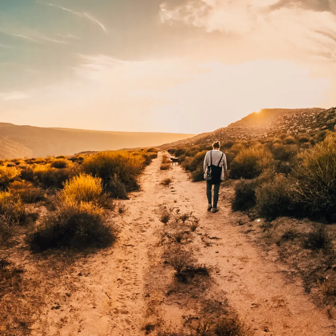 Woman walking away down sandy Cederberg trail at sunset, back to camera, fynbos on either side, vast open sky, solo walk at Unmade women's retreat
