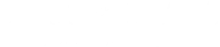 bliss and stars logo white