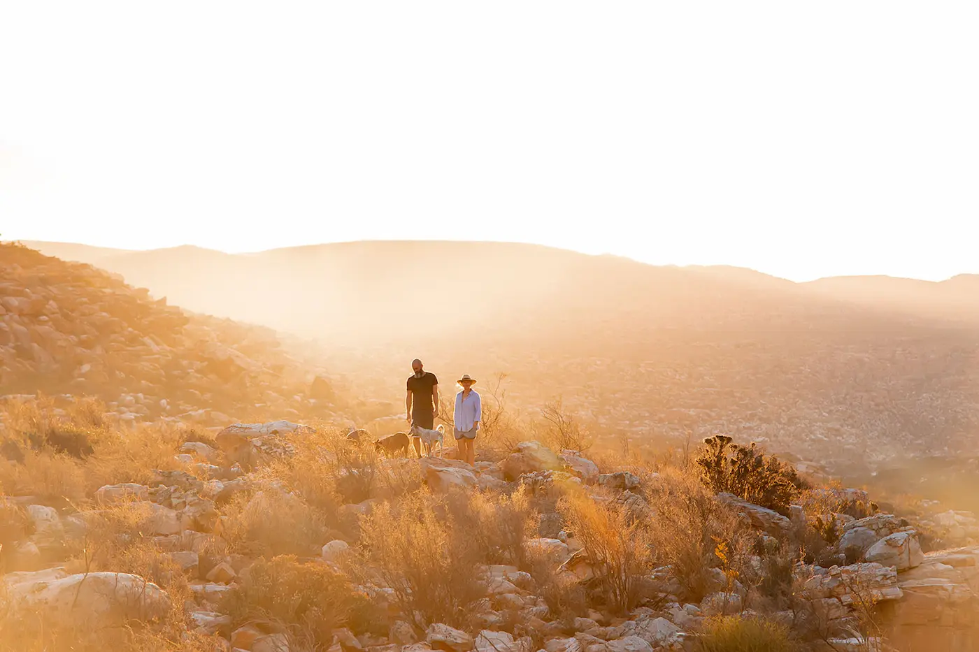 Couple walking in cederberg at sunset